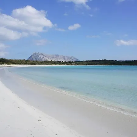 Smeralda Sea View - Luxury オルビア